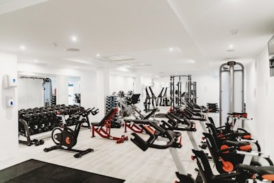 Estrutura LIV Academia
